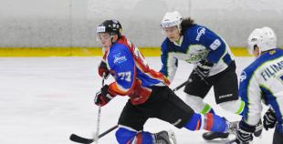 HK Zemgale/LLU - HK Mogo 2:4