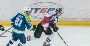 "Zemgale/LLU" pieveic "Mogo"