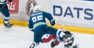 "Zemgale/LLU" pieveic "Mogo"