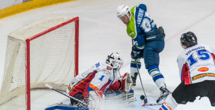 "Zemgale/LLU" pieveic "Mogo"