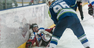 "Zemgale/LLU" pieveic "Mogo"