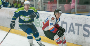 "Zemgale/LLU" pieveic "Mogo"