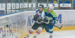 "Zemgale/LLU" pieveic "Mogo"