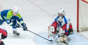 "Zemgale/LLU" pieveic "Mogo"