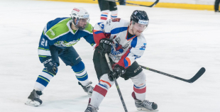 "Zemgale/LLU" pieveic "Mogo"