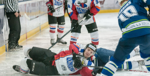 "Zemgale/LLU" pieveic "Mogo"