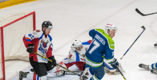 "Zemgale/LLU" pieveic "Mogo"