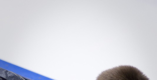 LČ hokejā sācies ar Liepājas Metalurga 2 uzvaru pār Energija-Orakulas