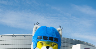 2013 PČ Latvija - Austrija 3:6