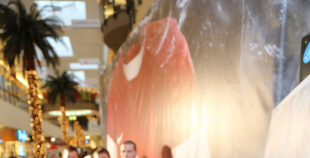 2013 Soču olimpisko hokeja kreklu prezentācija