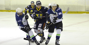 2014 LČ HK Kurbads - HK Mogo 7:2