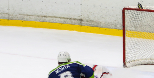 FOTO: "Mogo" - "Zemgale/LLU" 2:3 (pag.)