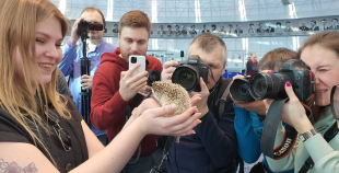 2021.gada Pasaules čempionāta talismans - ezis Spaikijs