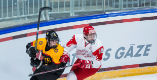 FOTO: Vācija - Dānija 