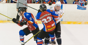 2016 Virslīga: Pārdaugava - HK Zemgale/LLU 3:12