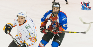 2016 Virslīga: Pārdaugava - HK Zemgale/LLU 3:12