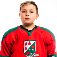 Aleksandrs Bulatņikovs