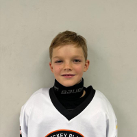 Aleksejs Grigorovičs