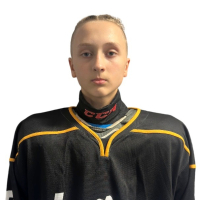 Gustavs Aurelijus Serga