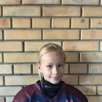 Mihails Kormiļicins