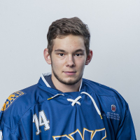 Oļegs Šišļaņņikovs