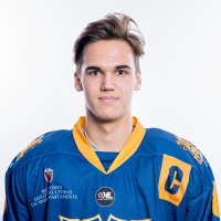 Raimonds Mikus Vītoliņš