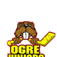 Viktors Jaroslavcevs